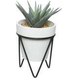 2x stuks vetplantje/kamerplant kunstplanten in pot op standaard 20 cm - Kunstplanten