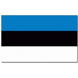 Landen thema vlag Estland 90 x 150 cm feestversiering - Vlaggen