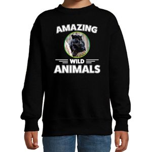 Sweater zwarte panters amazing wild animals / dieren trui zwart voor kinderen - Sweaters kinderen