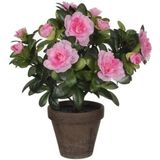 2x Groene Azalea kunstplanten roze bloemen 27 cm in pot - Kunstplanten