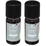 Smudgen - Geurolie Eucalyptus - 10 ml - Biologisch - Etherische Olie
