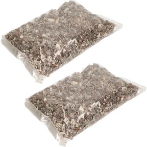 2x Zakken met 500 gram decoratie dennenappels bruin met sneeuw - Kerststukje/herfststukje versiering - Dennenappeltjes