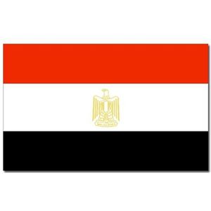Landen thema vlag Egypte 90 x 150 cm feestversiering - Vlaggen