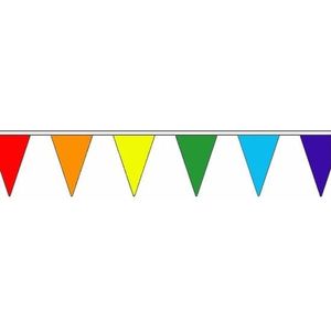 Regenboog versiering vlaggenlijn 20 m - Vlaggenlijnen