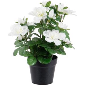 Louis Maes Azalea Kunstplant - In Pot - Wit - H25 cm