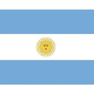 Stickers van de Argentijnse vlag - Feeststickers