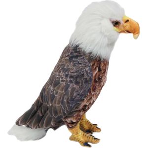 Knuffeldier Arend/Adelaar - zachte pluche stof - bruin/wit - premium kwaliteit knuffels - Roofvogels - Vogel knuffels
