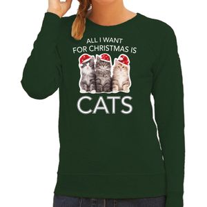 Kitten Kerst sweater / outfit All I want for Christmas is cats groen voor dames - kerst truien