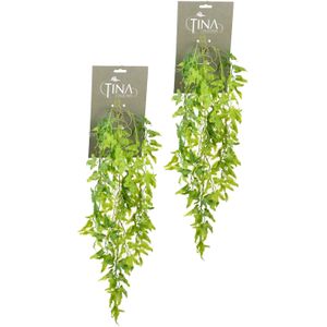 Louis Maes kunstplanten - 2x - Varen - lichtgroen - hangende takken bos van 55 cm - Kunstplanten