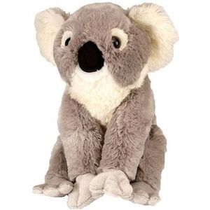 Pluche koala beer knuffeltje 30 cm - Knuffeldier