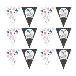 3x Geslachtsonthulling feest slingers 10 meter - Vlaggenlijnen