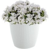 Stijlvolle plantenpot/bloempot kunststof dia 22 cm en hoogte 19 cm parel wit - Plantenpotten