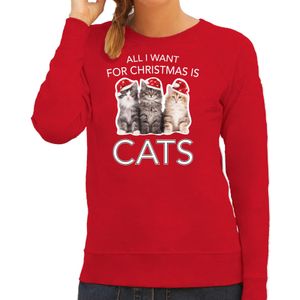 Kitten Kerst sweater / outfit All I want for Christmas is cats rood voor dames - kerst truien