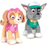 Paw Patrol figuren speelgoed knuffels set van 2x karakters Rocky en Skye 19 cm - Knuffeldier