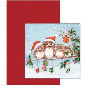 Papieren tafelkleed/tafellaken rood inclusief kerst servetten - Feesttafelkleden