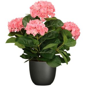 Hortensia kunstplant/kunstbloemen 45 cm - roze - in pot zwart mat - Kunstplanten