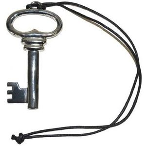 Namaak/nep/housewarming sleutel aan ketting zilver 12 cm - Verkleedketting