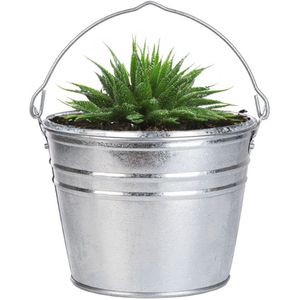 Esschert Design Emmer/plantenpot/bloempot - zink - zilver - D25 x H19 cm