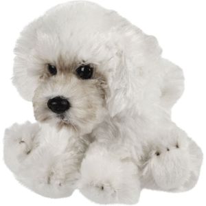 Pluche Knuffeldier Hond - Maltezer - 13 cm - Creme Wit - Huisdieren Thema
