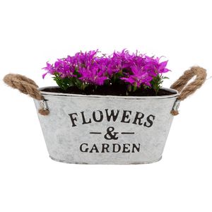 Plantenpot/bloempot teil Jardin - ovaal - zink - wit - L21 x D13 x H10 cm - Plantenbakken