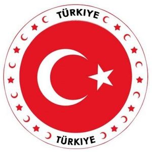 50x Turkije vlag print bierviltjes - Bierfiltjes