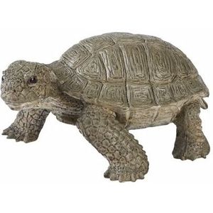 Levensechte speelgoed plastic schildpad 14 cm - Speelfigurenset