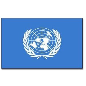 Landen thema vlag Verenigde Naties 90 x 150 cm feestversiering - Vlaggen