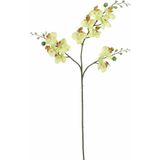 Kunstbloem Orchidee tak - 2x - lichtgeel - 75 cm - Kunst zijdebloemen - Kunstbloemen