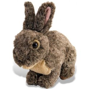 Knuffel konijn 30 cm - Knuffel huisdieren