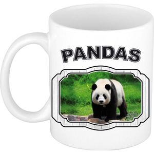 Dieren grote panda beker - pandas/ pandaberen mok wit 300 ml  - feest mokken