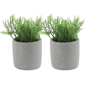 Countryfield - Rozemarijn - Kunstplant - Grijs Cement Potje - 19 cm