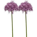 Emerald Allium/Sierui kunstbloem - 2x - losse steel - paars - 62 cm - Natuurlijke uitstraling