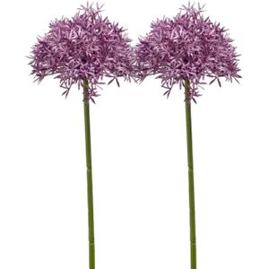 Allium/Sierui kunstbloem - 2x - losse steel - paars - 62 cm - Natuurlijke uitstraling - Kunstbloemen