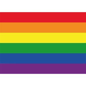 Stickertjes Regenboog Gay vlag - Feeststickers