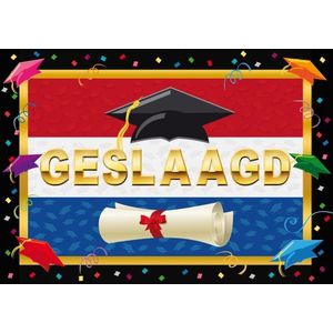 2x stuks deurposters geslaagd Nederlandse vlag 59 x 42 cm - Feestposters