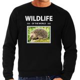 Egel sweater / trui met dieren foto wildlife of the world zwart voor heren - Sweaters