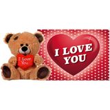 Pluche knuffel Valentijn I Love You beertje 27 cm met hartjes wenskaart - Knuffelberen