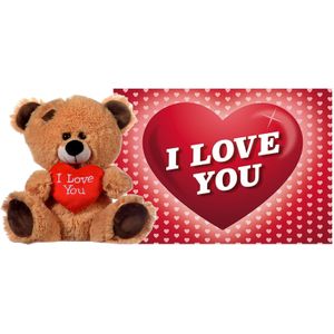Pluche knuffel Valentijn I Love You beertje 27 cm met hartjes wenskaart - Knuffelberen