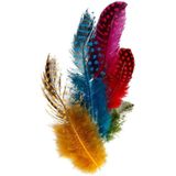 200x Gekleurde parelhoen vogel veren - Hobbybasisvoorwerp