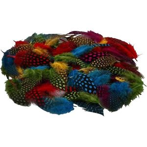 200x Gekleurde parelhoen vogel veren - Hobbybasisvoorwerp