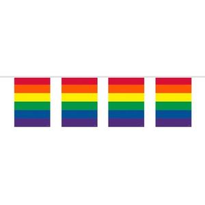 Slinger in regenboog kleuren 10 meter - Vlaggenlijnen