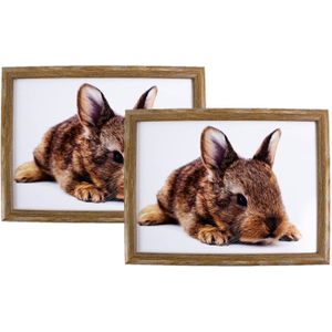 Set van 2 schootkussens/laptrays konijn print 43 x 33 cm  - Sierkussens