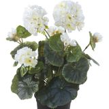Witte geranium kunstplant in zwarte kunststof pot 35 cm - Pelargonium Graveolens - Woondecoratie