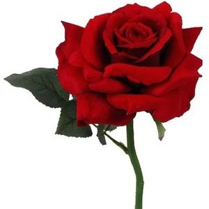 Rode roos voor je geliefde 31 cm - Feestdecoratievoorwerp