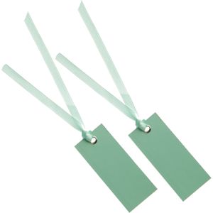 Santex Cadeaulabels met lintje - set 24x stuks - mint groen - 3 x 7 cm - naam tags - Cadeauversiering