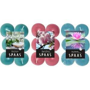 Candles by Spaas geurkaarsen - 36x stuks in 3 geuren - Mint Hammon - Waterlilly - Magnolia Blossom