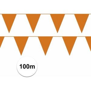 Buurtversiering Oranje vlaggenlijnen 100 meter brandvertragend - Vlaggenlijnen
