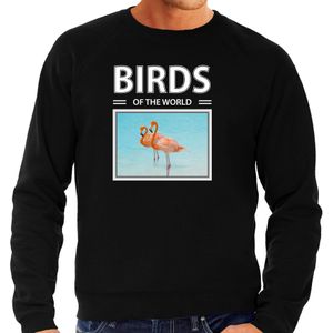 Flamingos sweater / trui met dieren foto birds of the world zwart voor heren - Sweaters