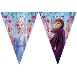 Kinderfeestje vlaggenlijn van Disney Frozen 2 2 meter - Feestbanieren