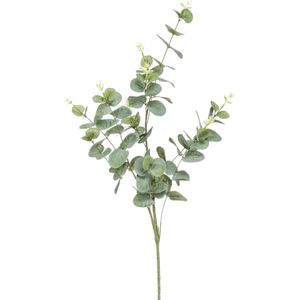 Emerald Kunstplant Eucalyptus - groen - takken - 75 cm